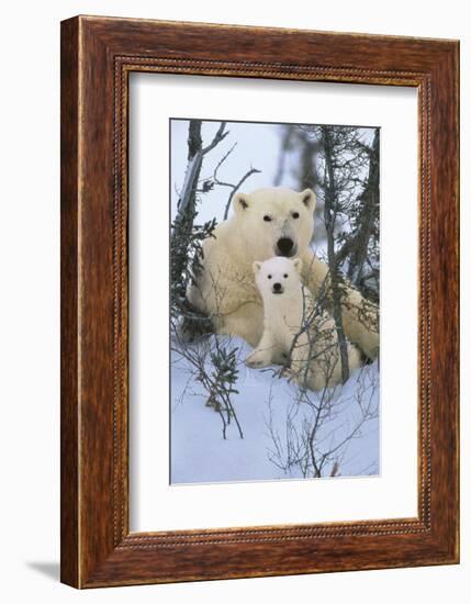 Northern Nursery-Art Wolfe-Framed Art Print