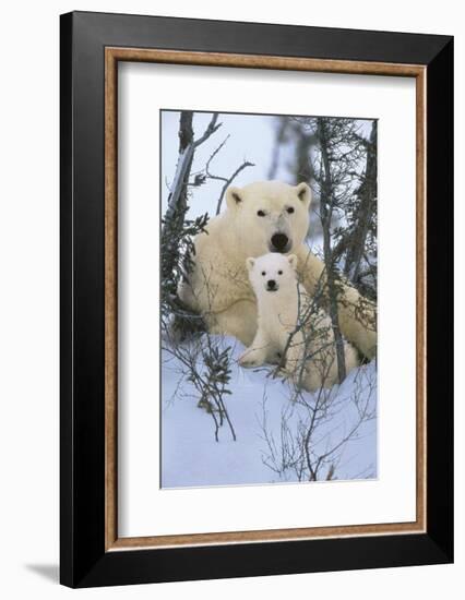 Northern Nursery-Art Wolfe-Framed Art Print