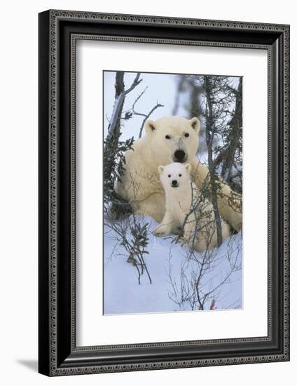 Northern Nursery-Art Wolfe-Framed Art Print