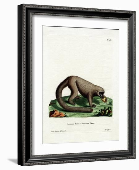 Northern Olingo-null-Framed Giclee Print