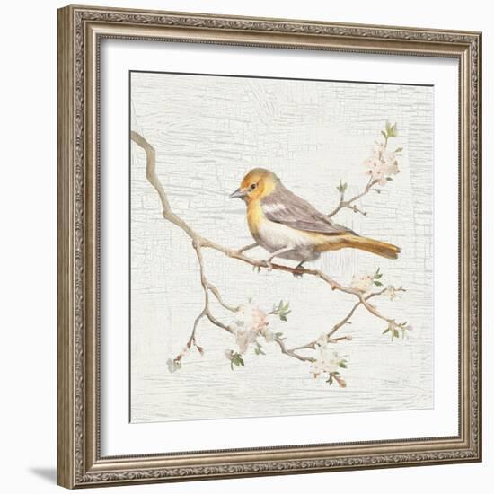 Northern Oriole Vintage-Danhui Nai-Framed Art Print