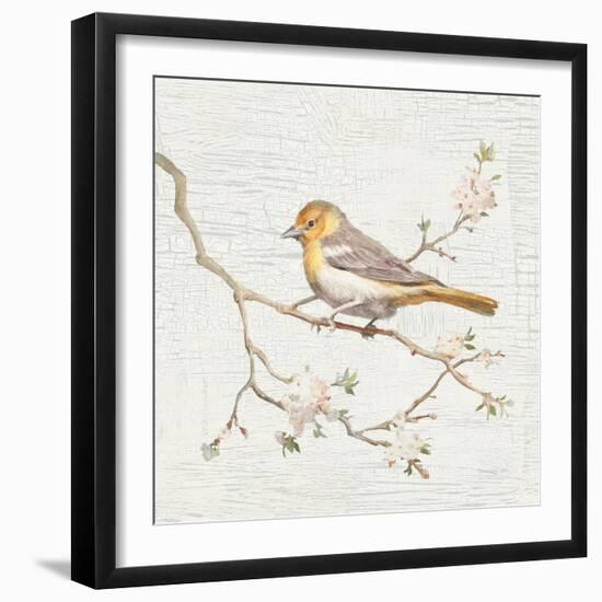 Northern Oriole Vintage-Danhui Nai-Framed Art Print