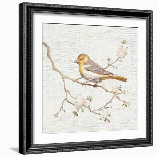 Northern Oriole Vintage-Danhui Nai-Framed Art Print