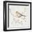 Northern Oriole Vintage-Danhui Nai-Framed Art Print