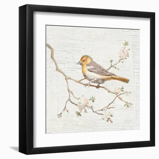 Northern Oriole Vintage-Danhui Nai-Framed Art Print