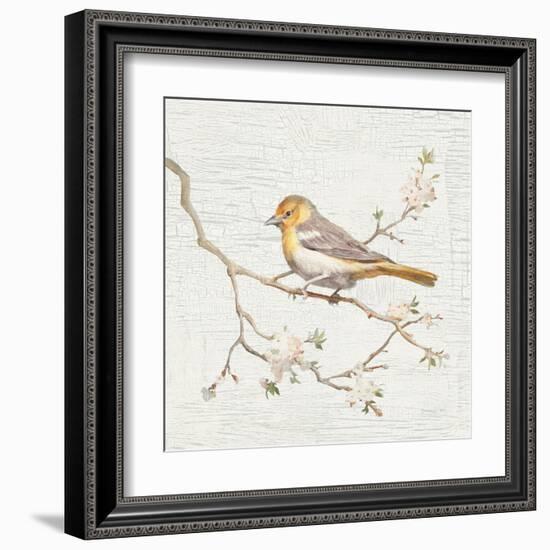 Northern Oriole Vintage-Danhui Nai-Framed Art Print