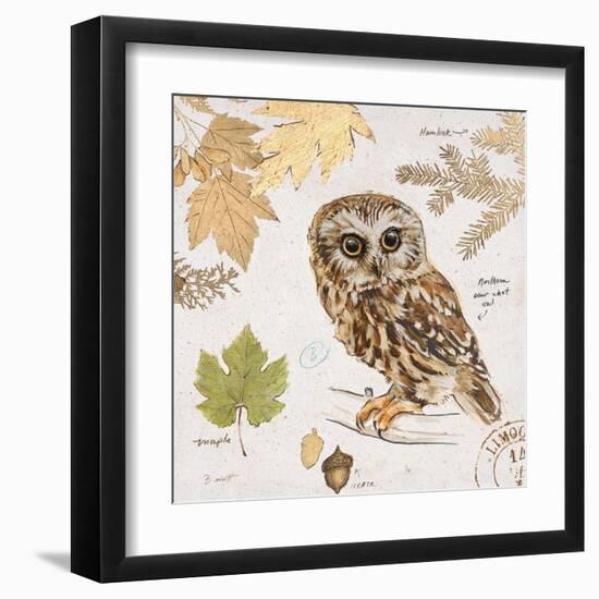 Northern Owl-Chad Barrett-Framed Art Print