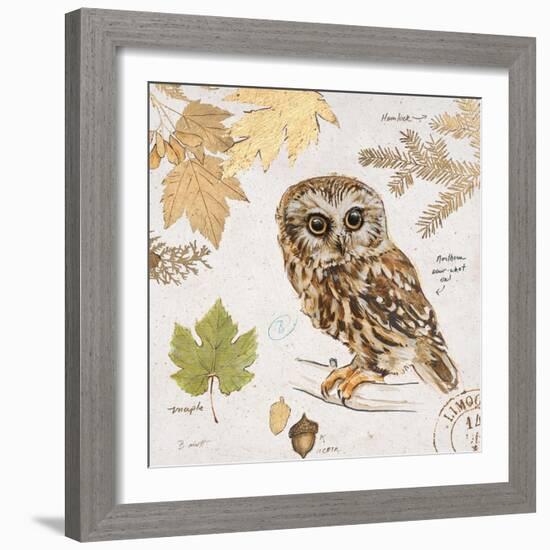 Northern Owl-Chad Barrett-Framed Art Print