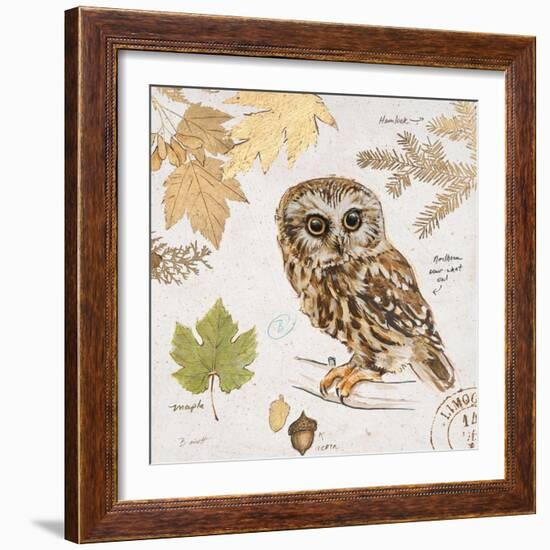 Northern Owl-Chad Barrett-Framed Art Print