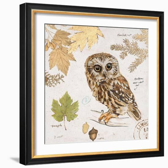 Northern Owl-Chad Barrett-Framed Art Print