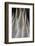 Northern Pintail Feather Detail-Darrell Gulin-Framed Photographic Print