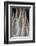 Northern Pintail Feather Detail-Darrell Gulin-Framed Photographic Print