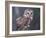 Northern Saw-Whet Owl, Alaska, Us-Lynn M. Stone-Framed Photographic Print