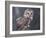 Northern Saw-Whet Owl, Alaska, Us-Lynn M. Stone-Framed Photographic Print