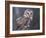 Northern Saw-Whet Owl, Alaska, Us-Lynn M. Stone-Framed Photographic Print