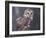 Northern Saw-Whet Owl, Alaska, Us-Lynn M. Stone-Framed Photographic Print