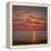 Northern Sea, 2005 Sunset Seascape-Lee Campbell-Framed Premier Image Canvas