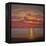 Northern Sea, 2005 Sunset Seascape-Lee Campbell-Framed Premier Image Canvas