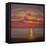 Northern Sea, 2005 Sunset Seascape-Lee Campbell-Framed Premier Image Canvas