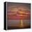 Northern Sea, 2005 Sunset Seascape-Lee Campbell-Framed Premier Image Canvas