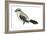 Northern Shrike (Lanius Excubitor), Birds-Encyclopaedia Britannica-Framed Art Print