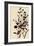 Northern Shrikes-John James Audubon-Framed Giclee Print