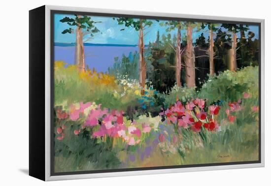 Northern Summer-Jane Slivka-Framed Stretched Canvas