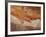 Northern Territory, Ancient Aboriginal Art of the Aranda People at Wallace Rockhole, Australia-Nigel Pavitt-Framed Photographic Print