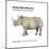 Northern White Rhinoceros (Ceratotherium Simum Cottoni), Mammals-Encyclopaedia Britannica-Mounted Art Print