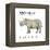 Northern White Rhinoceros (Ceratotherium Simum Cottoni), Mammals-Encyclopaedia Britannica-Framed Stretched Canvas