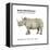 Northern White Rhinoceros (Ceratotherium Simum Cottoni), Mammals-Encyclopaedia Britannica-Framed Stretched Canvas