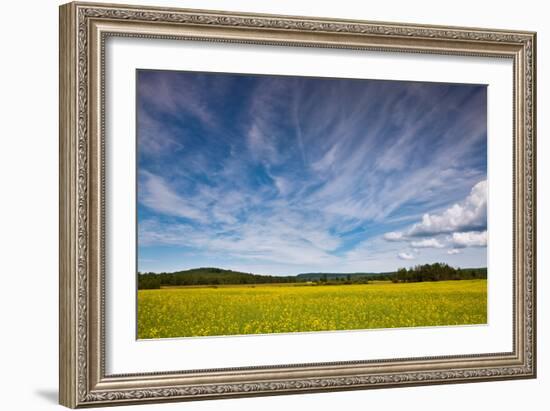 Northern Wisconsin Field-Steve Gadomski-Framed Photographic Print