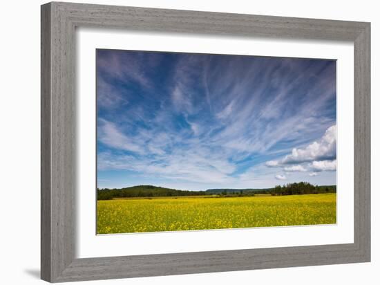 Northern Wisconsin Field-Steve Gadomski-Framed Photographic Print