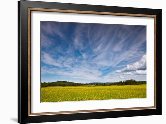 Northern Wisconsin Field-Steve Gadomski-Framed Photographic Print