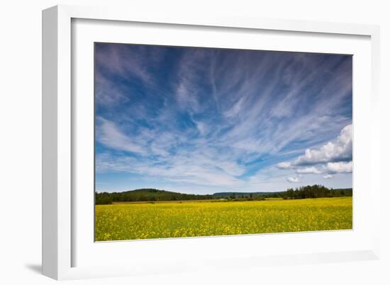 Northern Wisconsin Field-Steve Gadomski-Framed Photographic Print