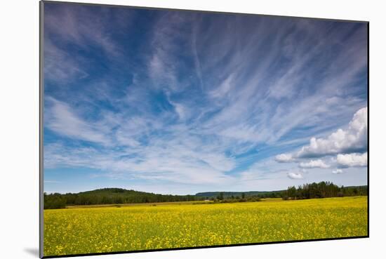 Northern Wisconsin Field-Steve Gadomski-Mounted Photographic Print