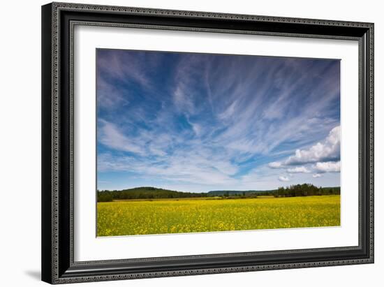 Northern Wisconsin Field-Steve Gadomski-Framed Photographic Print