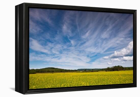 Northern Wisconsin Field-Steve Gadomski-Framed Premier Image Canvas