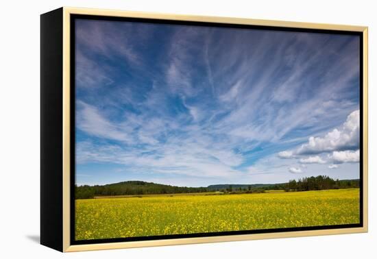 Northern Wisconsin Field-Steve Gadomski-Framed Premier Image Canvas