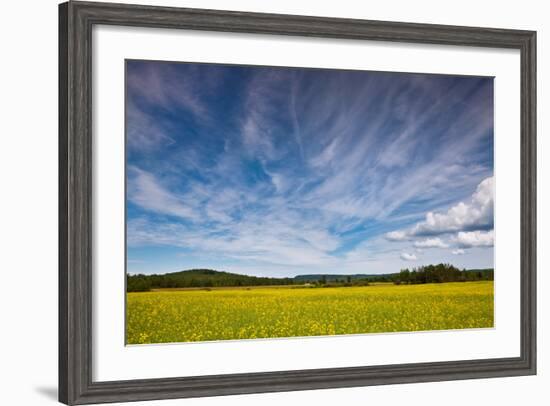 Northern Wisconsin Field-Steve Gadomski-Framed Photographic Print