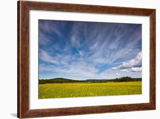 Northern Wisconsin Field-Steve Gadomski-Framed Photographic Print