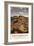 Northumberland, England - Hadrian's Wall and Sheep British Rail Poster-Lantern Press-Framed Premium Giclee Print