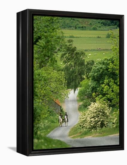 Northumberland, Harbottle, Horseriding Along a Country Lane, England-Paul Harris-Framed Premier Image Canvas