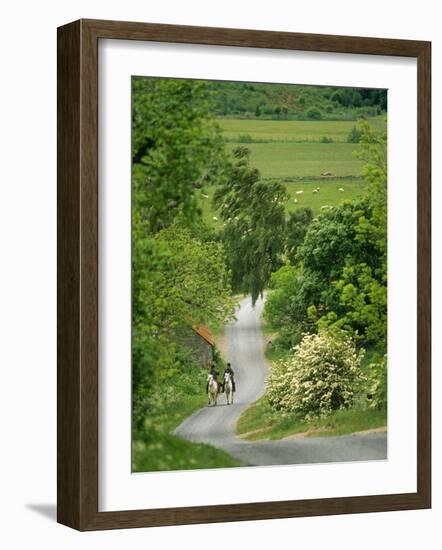 Northumberland, Harbottle, Horseriding Along a Country Lane, England-Paul Harris-Framed Photographic Print