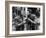 Northwest Passage, Spencer Tracy, Robert Young, 1940-null-Framed Photo