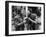 Northwest Passage, Spencer Tracy, Robert Young, 1940-null-Framed Photo