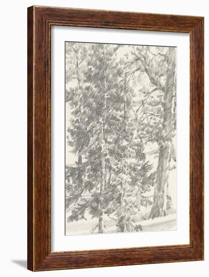 Northwestern Tree Study II-Ethan Harper-Framed Art Print