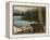 Northwoods Bear Crop-David Cater Brown-Framed Stretched Canvas