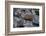 Norway. Alesund Inner Harbor-Kymri Wilt-Framed Photographic Print