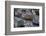 Norway. Alesund Inner Harbor-Kymri Wilt-Framed Photographic Print